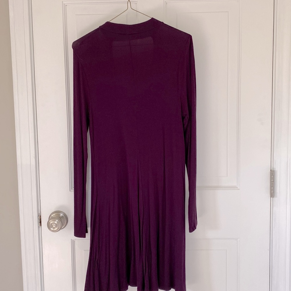 Express Dress - Picture 4 of 4